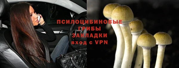 Альфа ПВП Аркадак